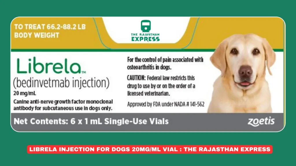 "Librela Injection 20mg/ml vial used for joint pain relief in dogs with arthritis."