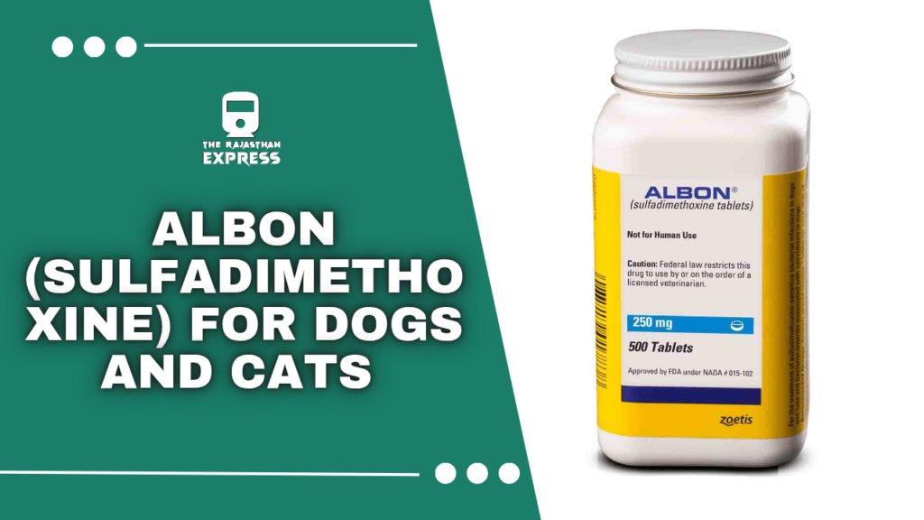 Albon 5% Oral Suspension for Dogs & Cats | Zoetis