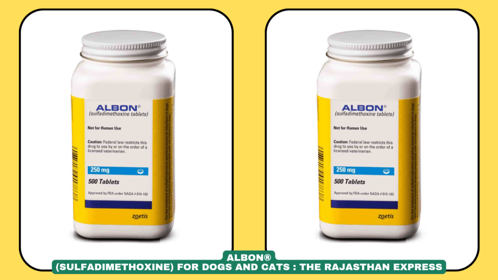 Albon 5% Oral Suspension for Dogs & Cats | Zoetis
