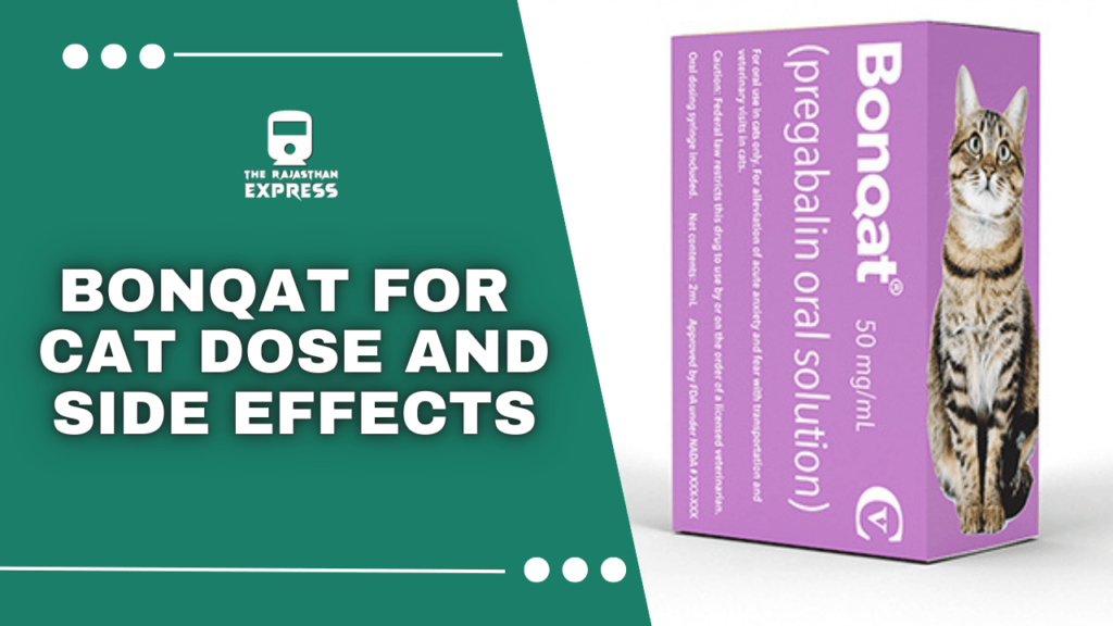 Bonqat for Cats: Pregabalin Oral Solution for Anxiety Relief | Dosage & Safety