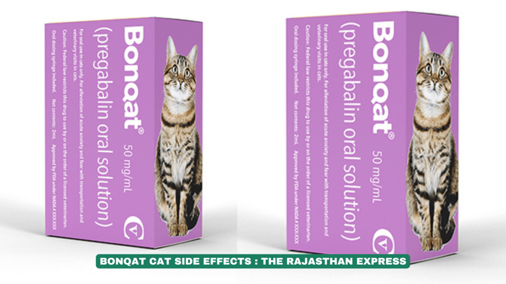 Bonqat for Cats: Pregabalin Oral Solution for Anxiety Relief | Dosage & Safety
