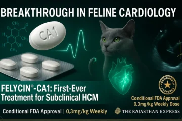 Felycin CA 1,Sirolimus delayed-release tablets,Felycin ca1 triviumvet,Felycin-CA1 where to buy,Felycin-CA1 mechanism of action,Felycin-CA1 cost,felycin-ca1 (sirolimus delayed-release tablets),Felycin-CA1 side effects,Felycin-CA1 mechanism of action,Felycin ca1 availability,Felycin-CA1 price,Rapamycin for cats dose,Rapamycin for cats cost,Rapamycin for cats side effects,Rapamycin for cats with HCM,Where to buy rapamycin for cats