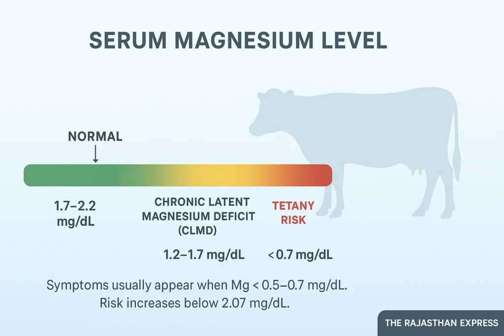 Clinical veterinary reference guide: gauge showing critical serum magnesium levels in cattle. Normal range (1.7-2.2 mg/dL), latent deficit (1.2-1.7 mg/dL), and acute tetany risk (