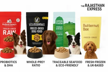 2025 freeze-dried dog food brand comparison table: Stella & Chewy’s, Vital Essentials, Open Farm, Butternut Box with protein % and features.