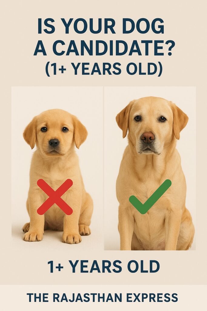 Is Your Dog a Candidate (1+ Years Old)