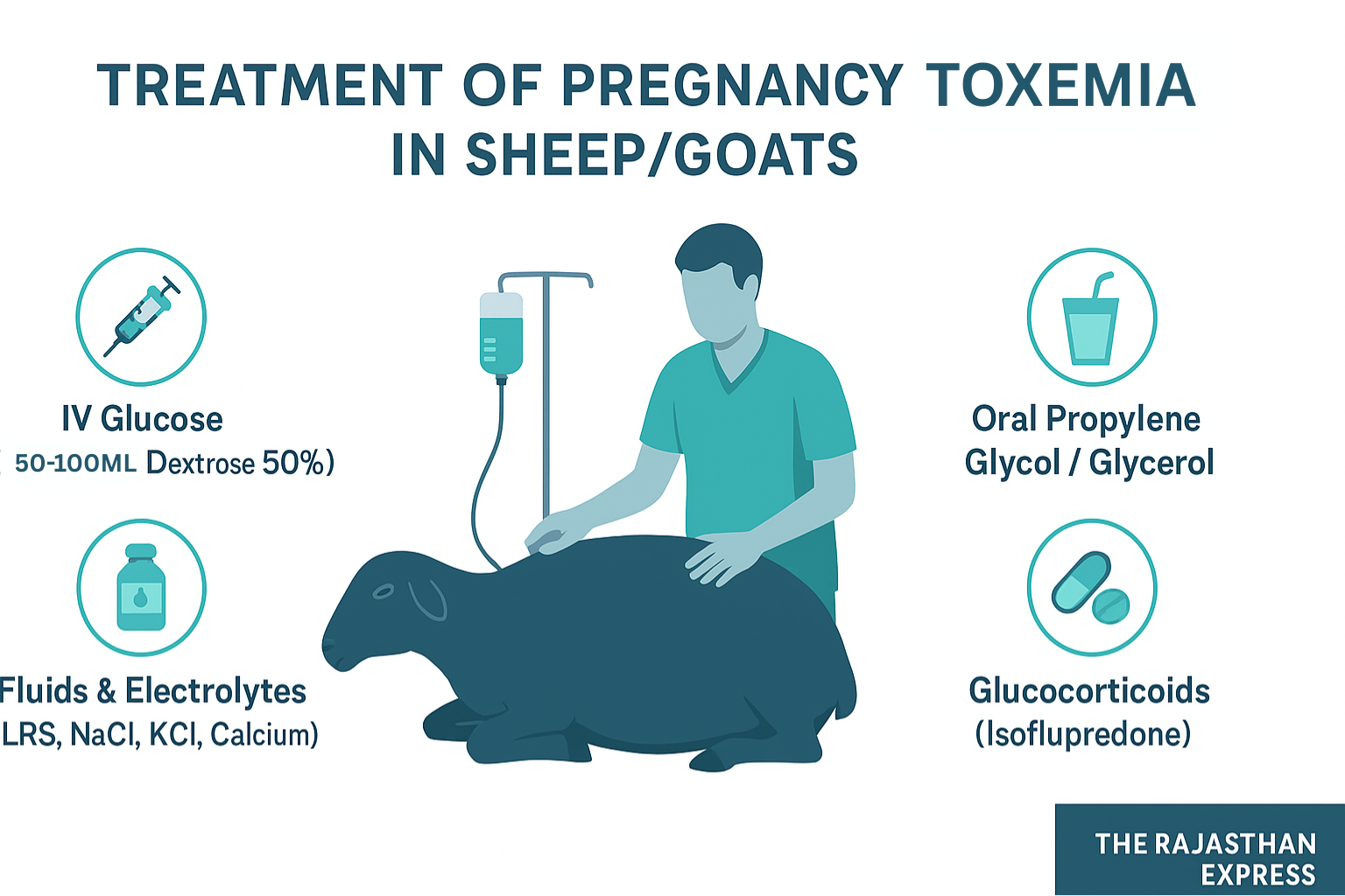 Veterinary infographic on treatment protocols for Pregnancy Toxemia in sheep and goats, including IV dextrose, oral propylene glycol, fluids, insulin, and corticosteroids.