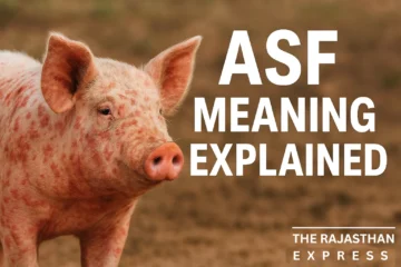 ASF Meaning: ASF means African Swine Fever. It is a contagious viral disease of pigs (both domestic and wild). African Swine Fever (ASF) is a highly dangerous and contagious viral disease occurring in pigs (both domestic and wild). The African Swine Fever (ASF) disease in pigs is caused by the African Swine Fever Virus (ASFV), which is a DNA virus belonging to the Asfarviridae family and Asfivirus genus. It is the sole member of the Asfarviridae family, setting it apart from most other known viruses. A unique characteristic is that it is the only known DNA arbovirus, meaning it is a DNA virus spread by insects (ticks), while most arboviruses are RNA viruses.
