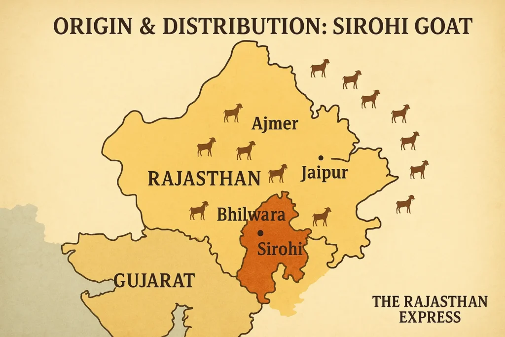 Map of India focusing on Rajasthan and North Gujarat, clearly highlighting the Sirohi district as the origin and using icons or color coding to show distribution areas like Ajmer, Bhilwara, Tonk, Jaipur, and Palanpur.