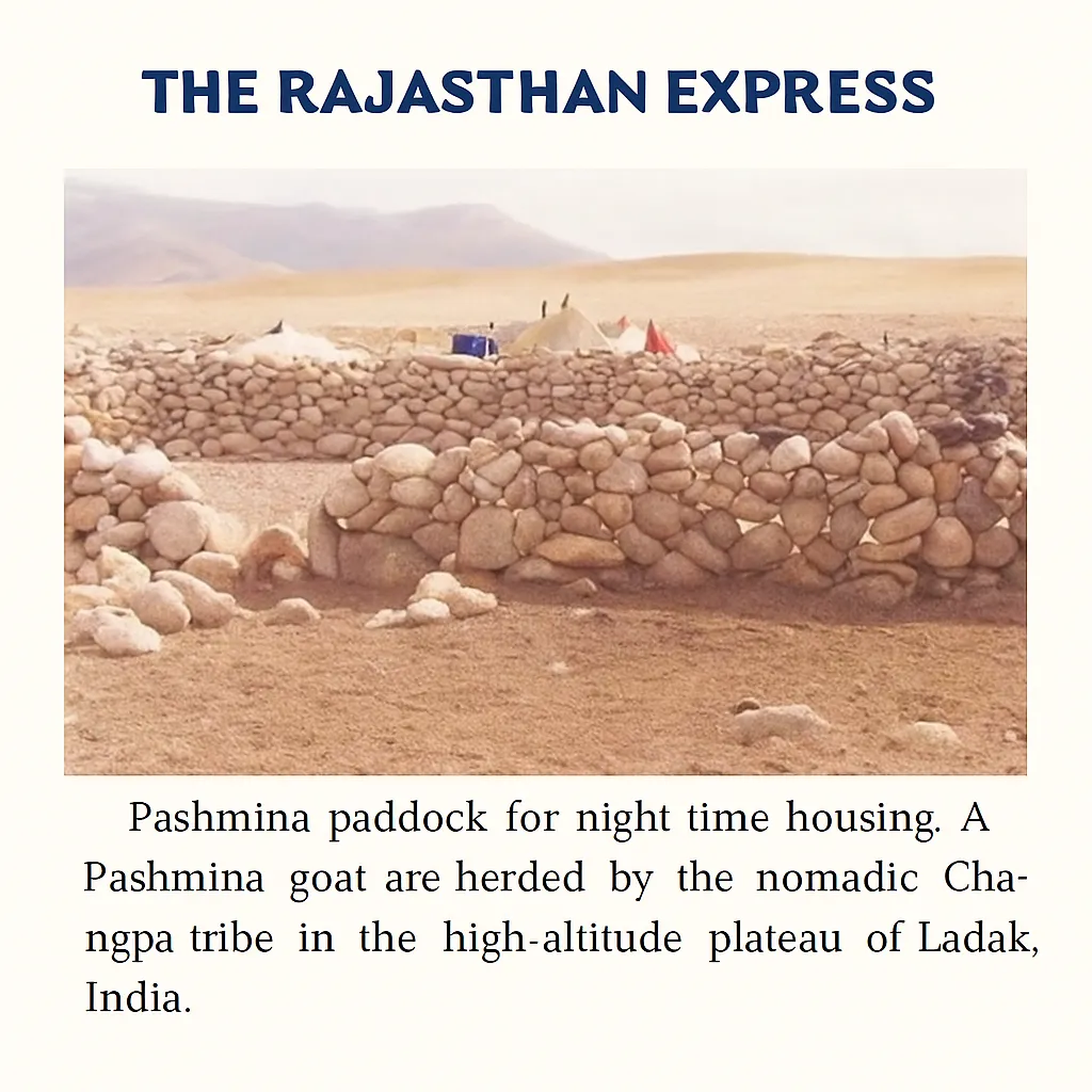 Traditional Pashmina paddock for night time housing, used by the nomadic Changpa tribe in the high-altitude plateau of Ladakh, India.