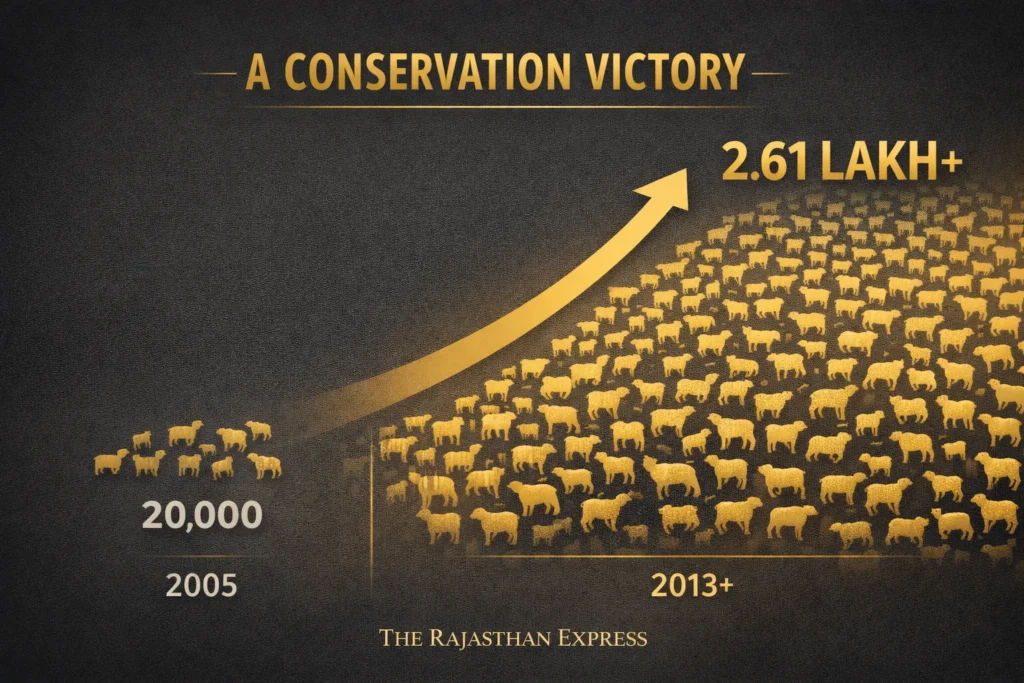 Population growth chart of Chokla sheep showing conservation victory from 20,000 in 2005 to over 2.61 lakh by 2013 in Rajasthan.
